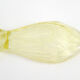 Plat coupe oiseau, en verre cristallin jaune pâle