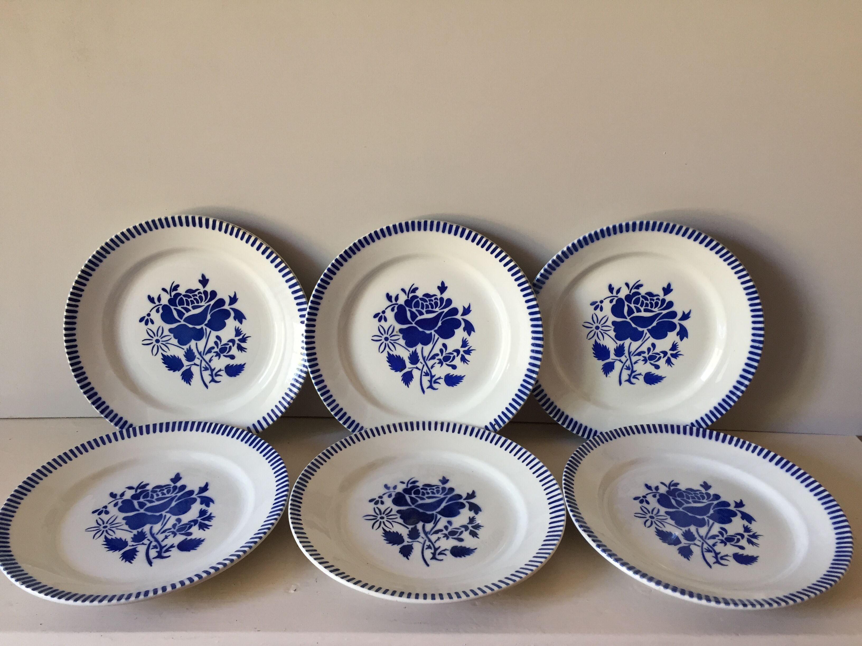 6 dinner plates - lunéville model evian