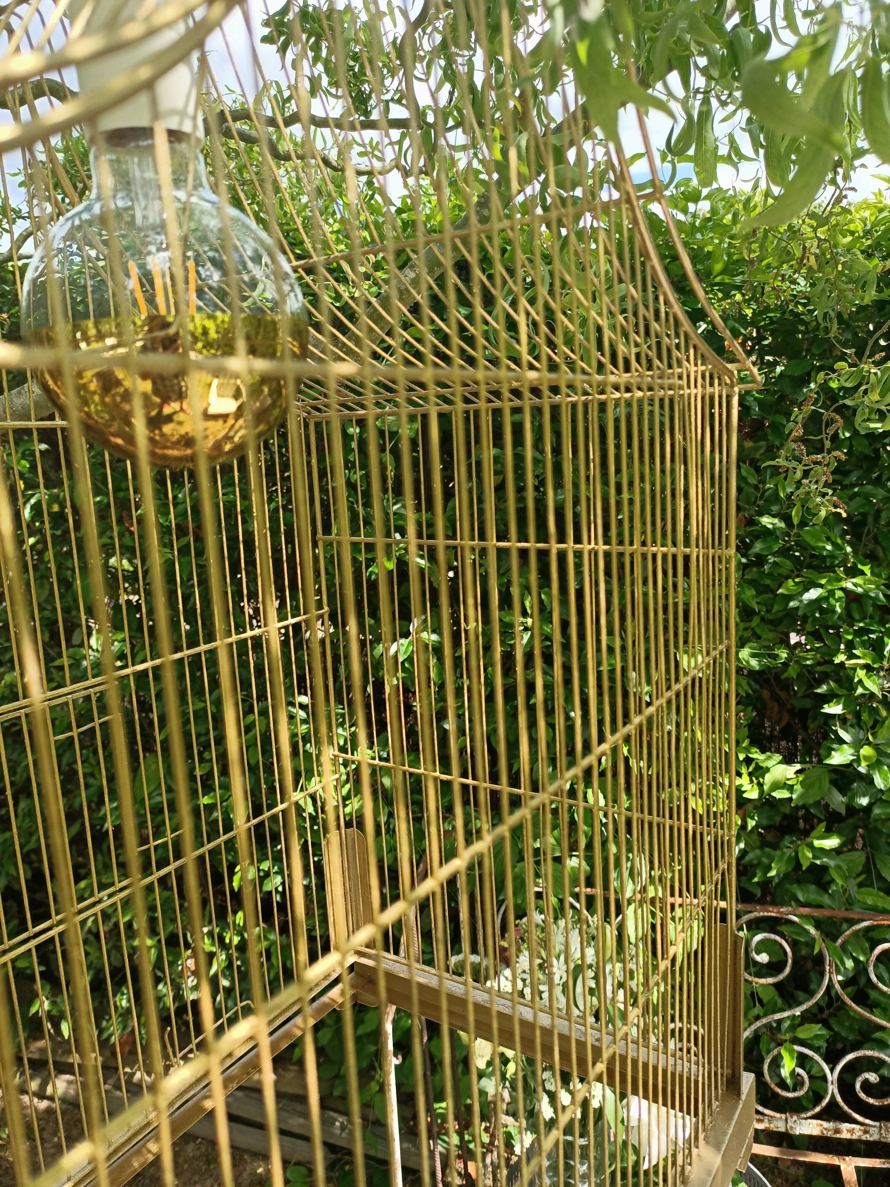 Old bird cage