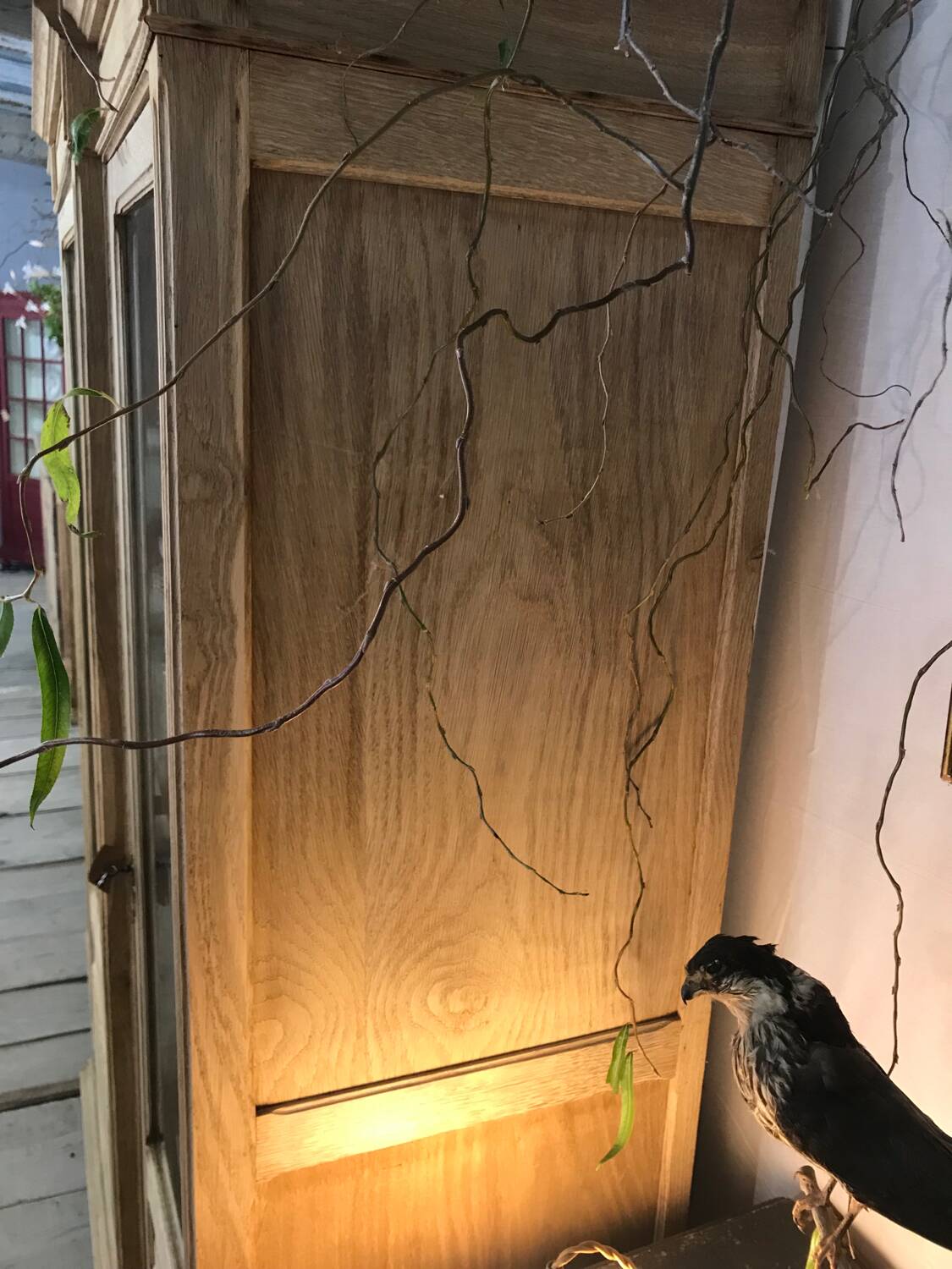 Pickled oak display bookcase