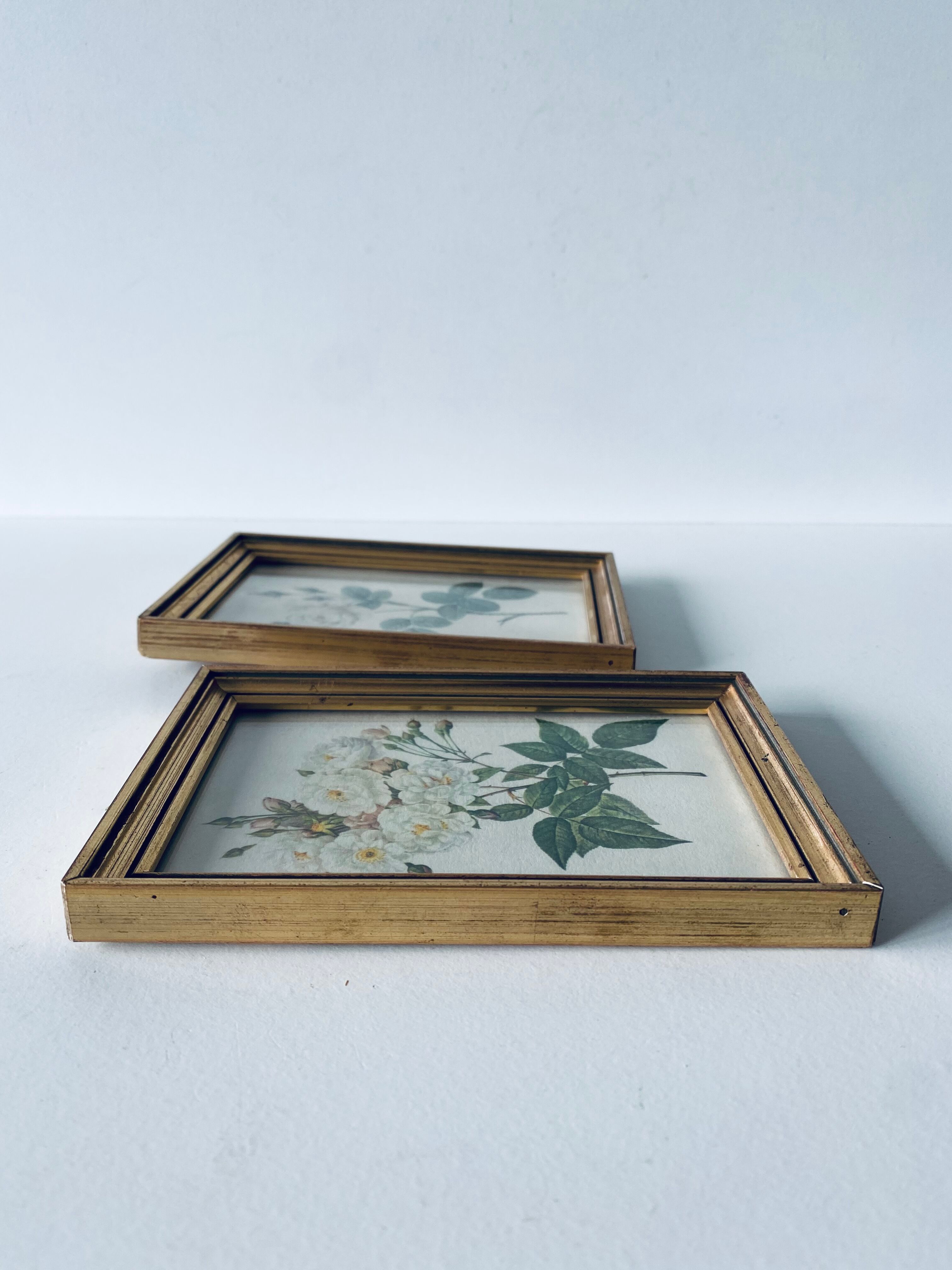 Duo of framed lithographs