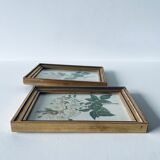 Duo of framed lithographs