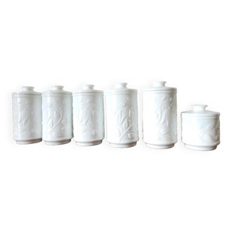 Lot de 6 pots à pharmacie en opaline