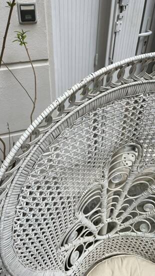 Emmanuelle armchair in white lacquered rattan