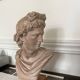 Terracotta bust of Apollo
