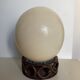 Ostrich egg from South Africa, base