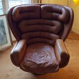 Fauteuil Elda de Joe Colombo