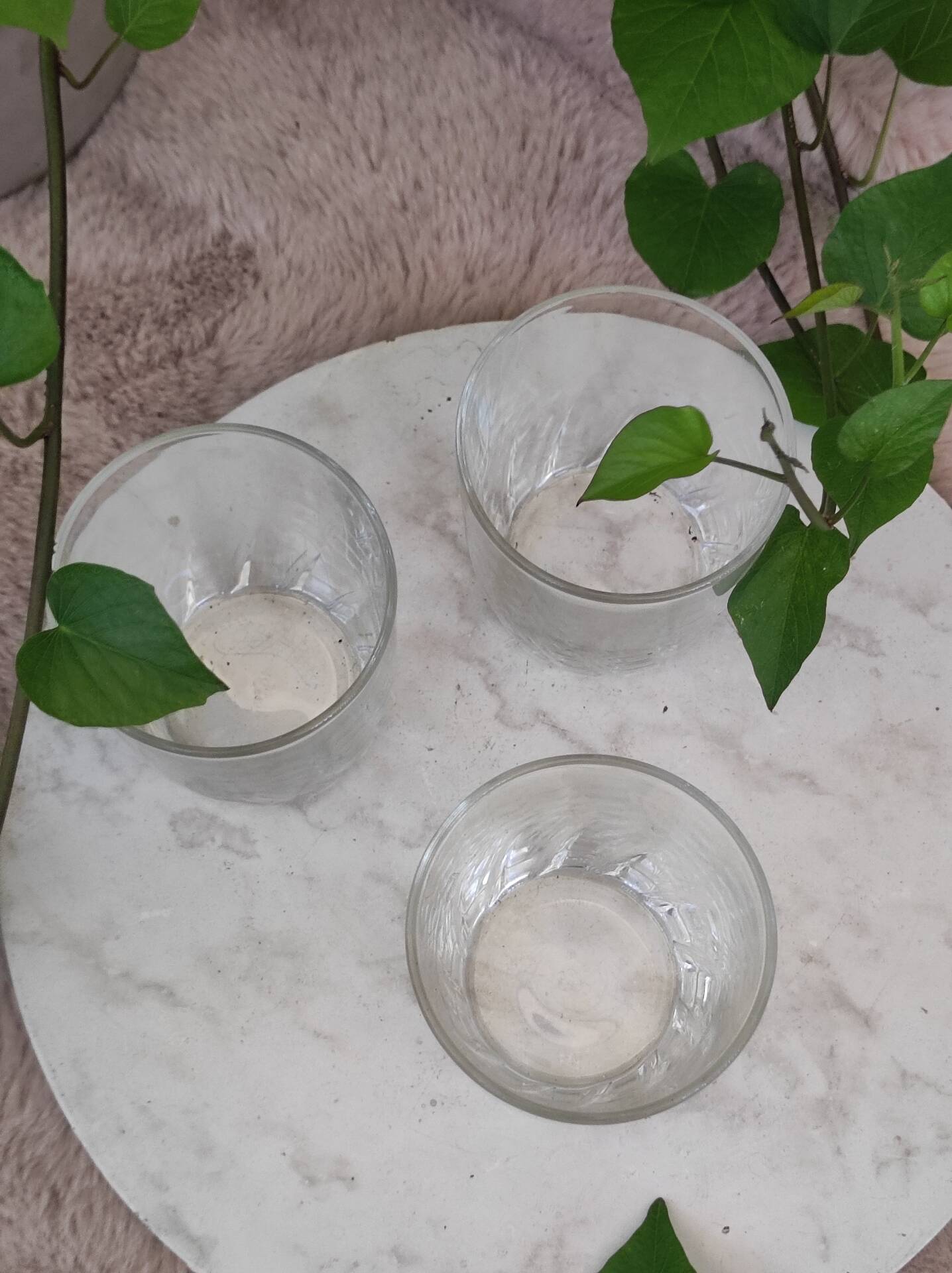 Verres a whisky