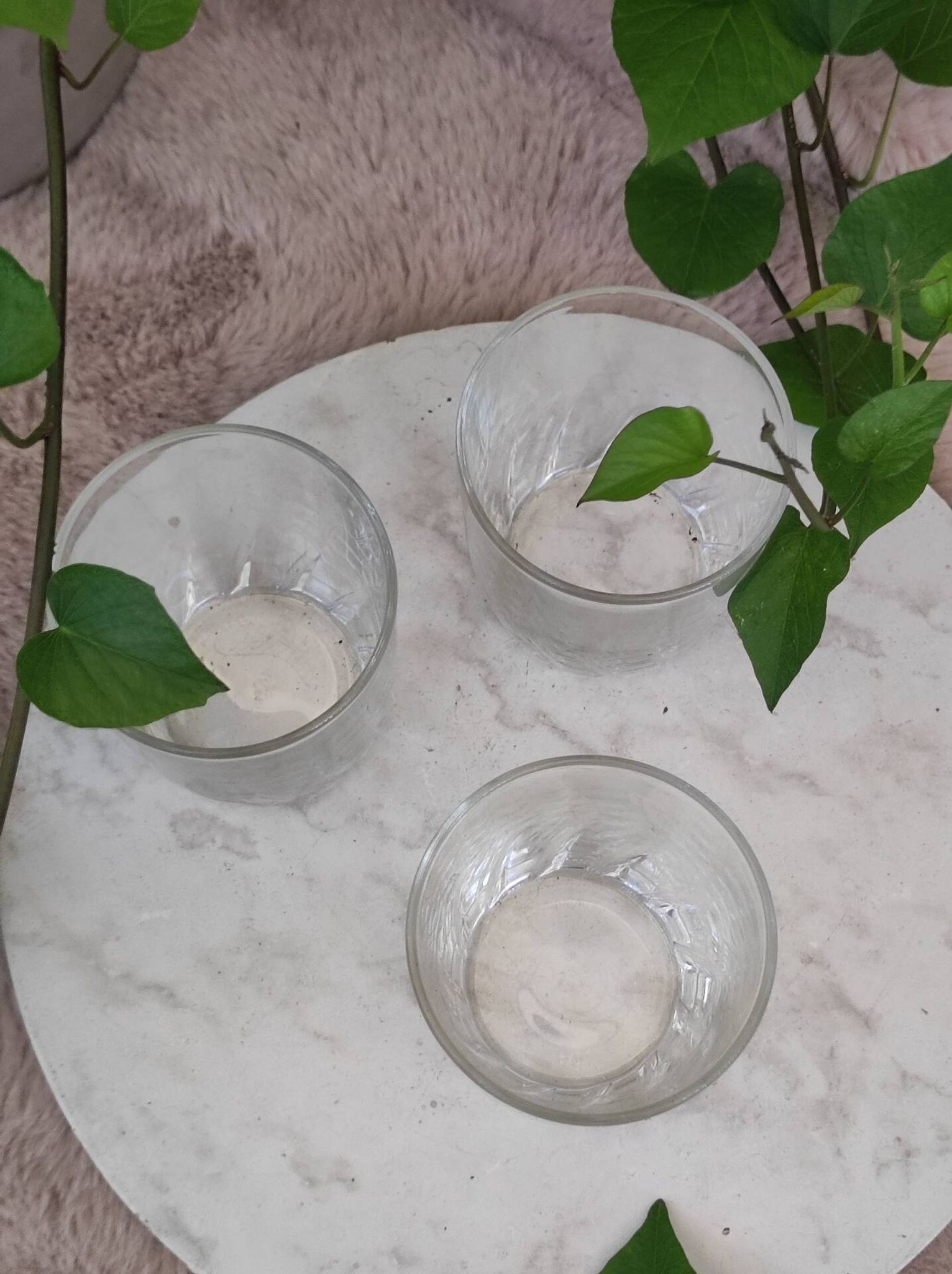 Whisky glasses
