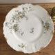 set of 9 plates Clématites porcelain Limoges Art Nouveau