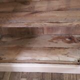 Parisian wardrobe 1950