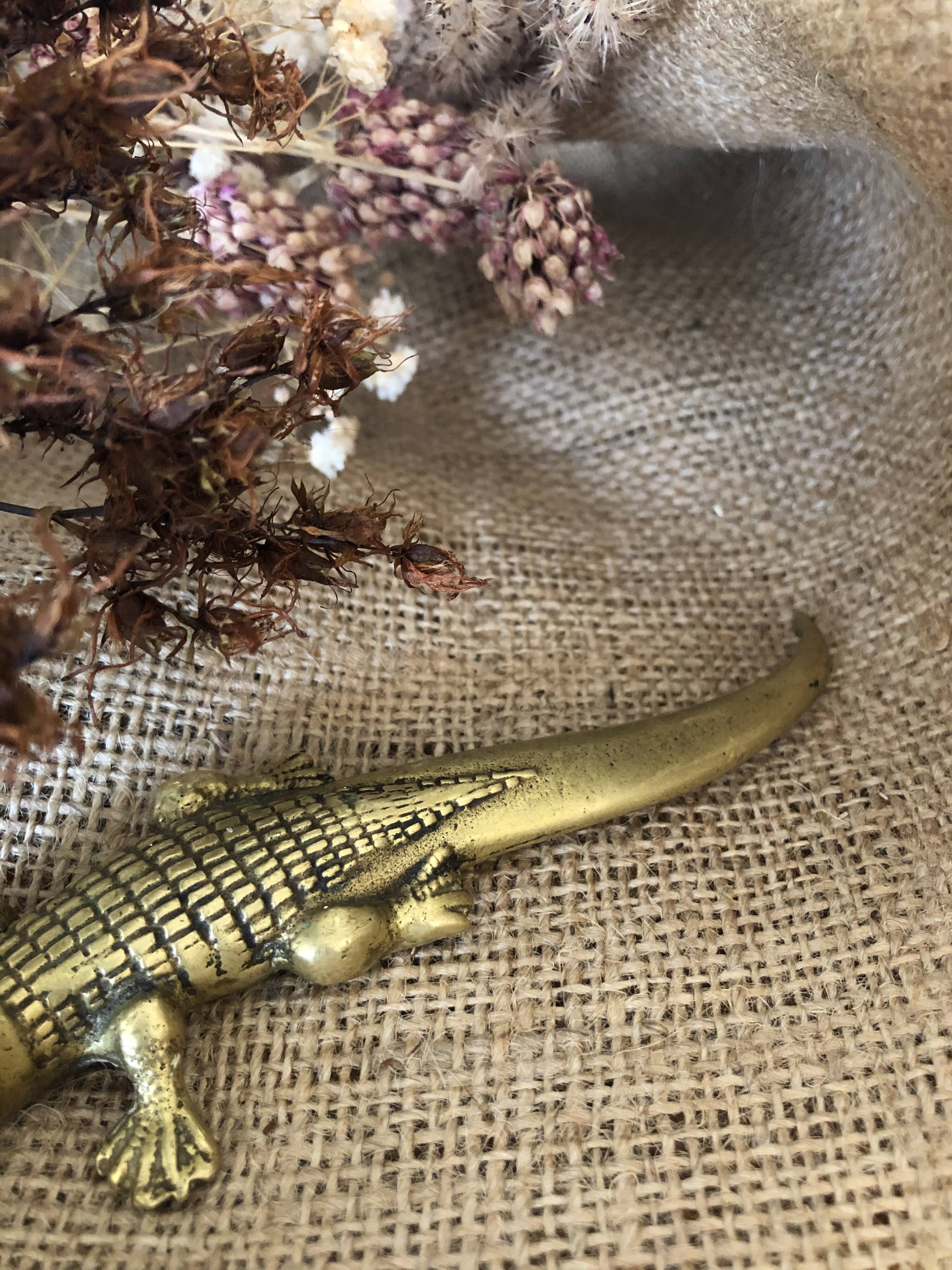 Brass Crocodile
