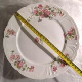 4 W. Guerin flat plates