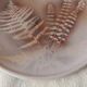 Jean Austruy ceramic dish