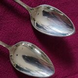 Ercuis spoons
