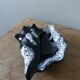 Black ceramic and foam shell ashtray