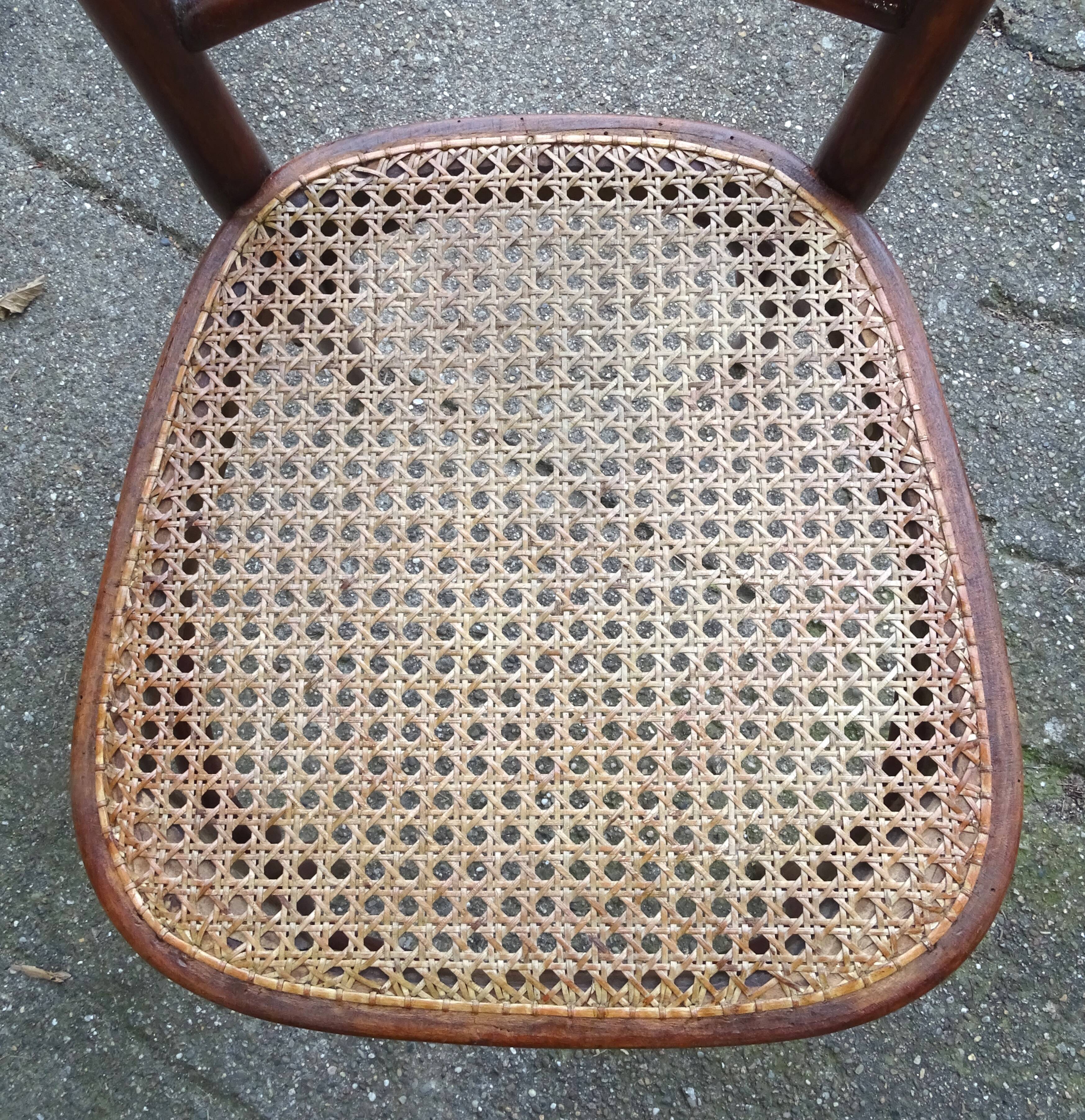 Two bistro chairs kohn n°196 in palmette, circa 1906, tanned