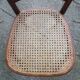 Two bistro chairs kohn n°196 in palmette, circa 1906, tanned