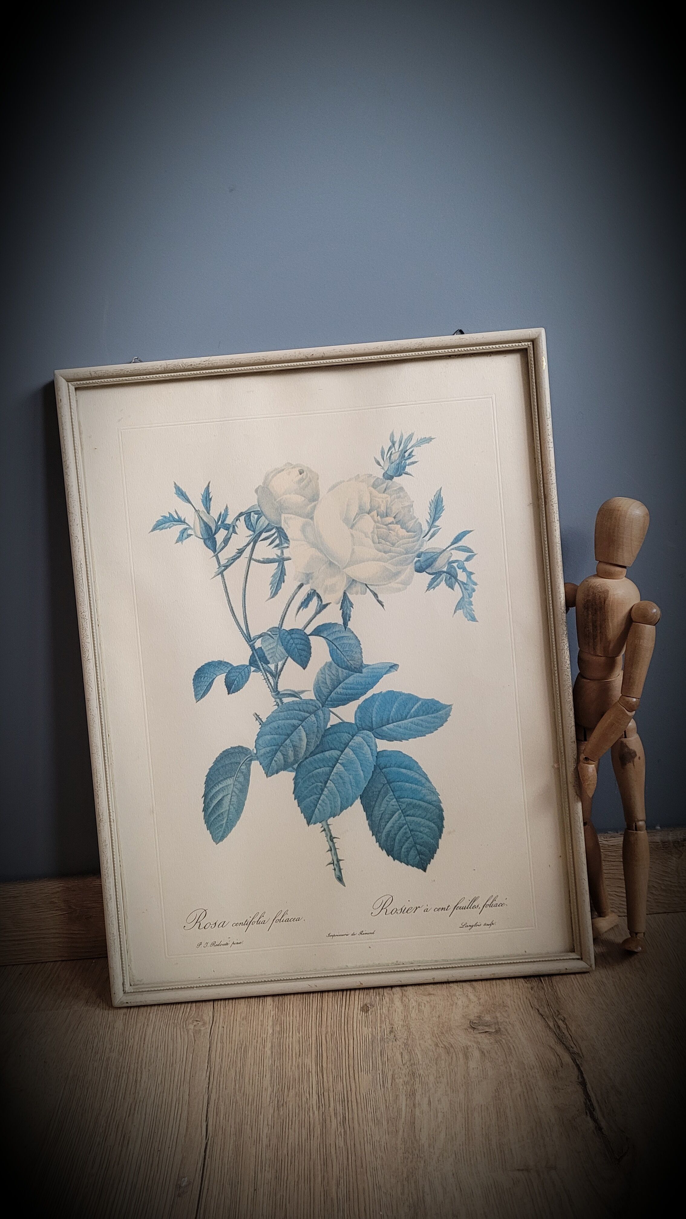 Frame illustration rose one hundred leaves foliaceous