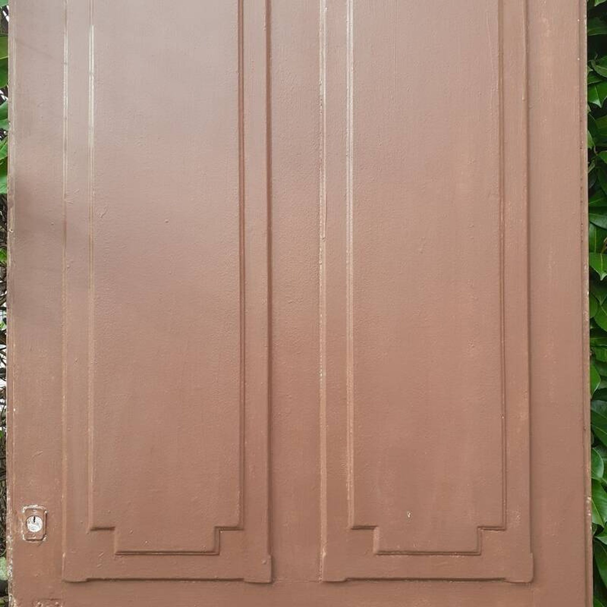 Porte d’entrée pleine ancienne en bois massif