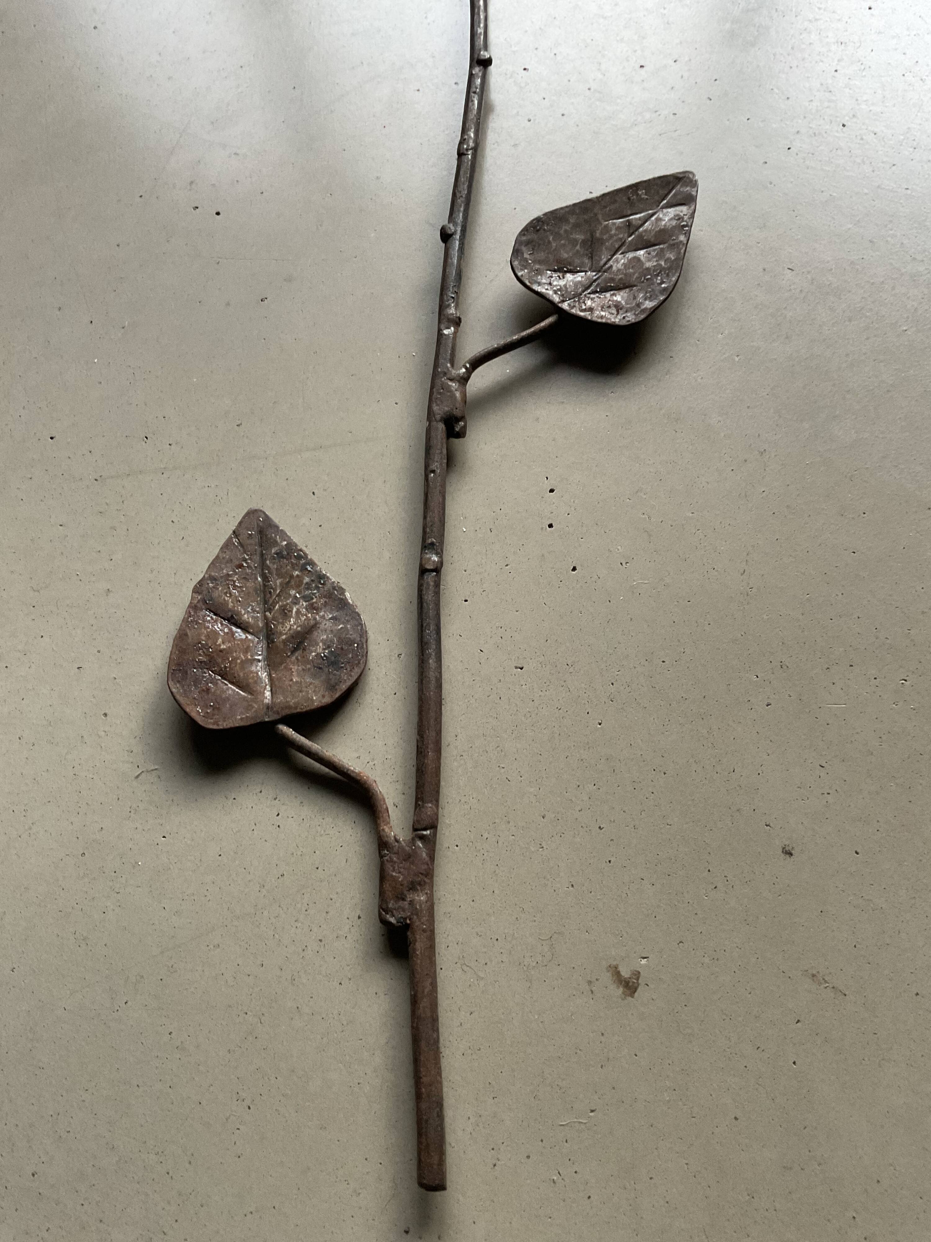Miroir fleur se sorcière
