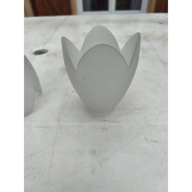 Set of 5 opaline glass tulips