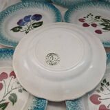 8 assiettes à dessert anciennes en barbotine