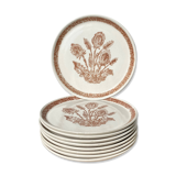 9 dessert plates herbarium thistles