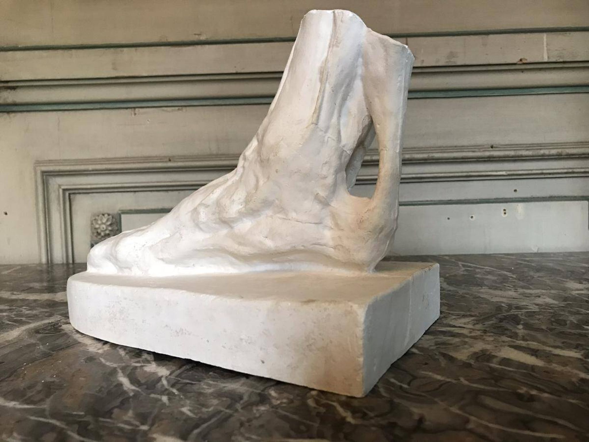 Plaster cast of a dissected foot