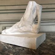Plaster cast of a dissected foot