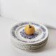 16 illustrated plates