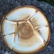 10 Longchamp factory fondue plates