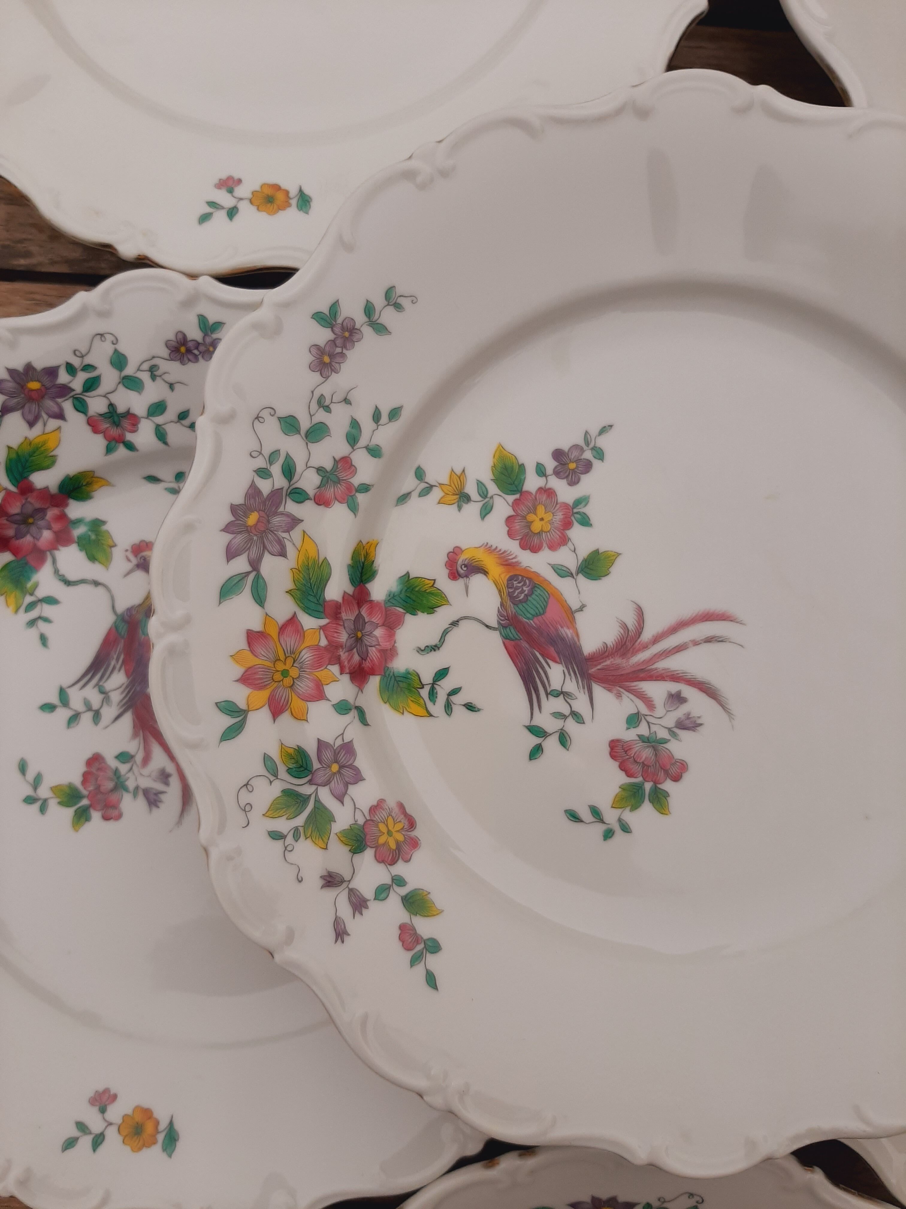 6 porcelain plates Bird Seltmann Weiden