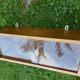 Vintage wooden window 50s , 60'S