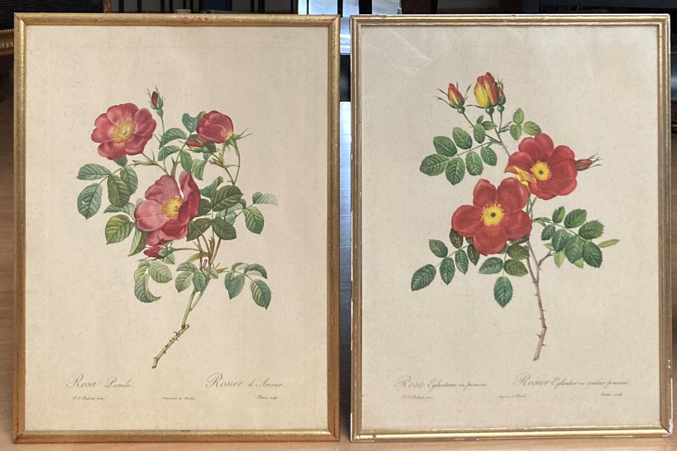 Set of two lithographs Rose Redfearé