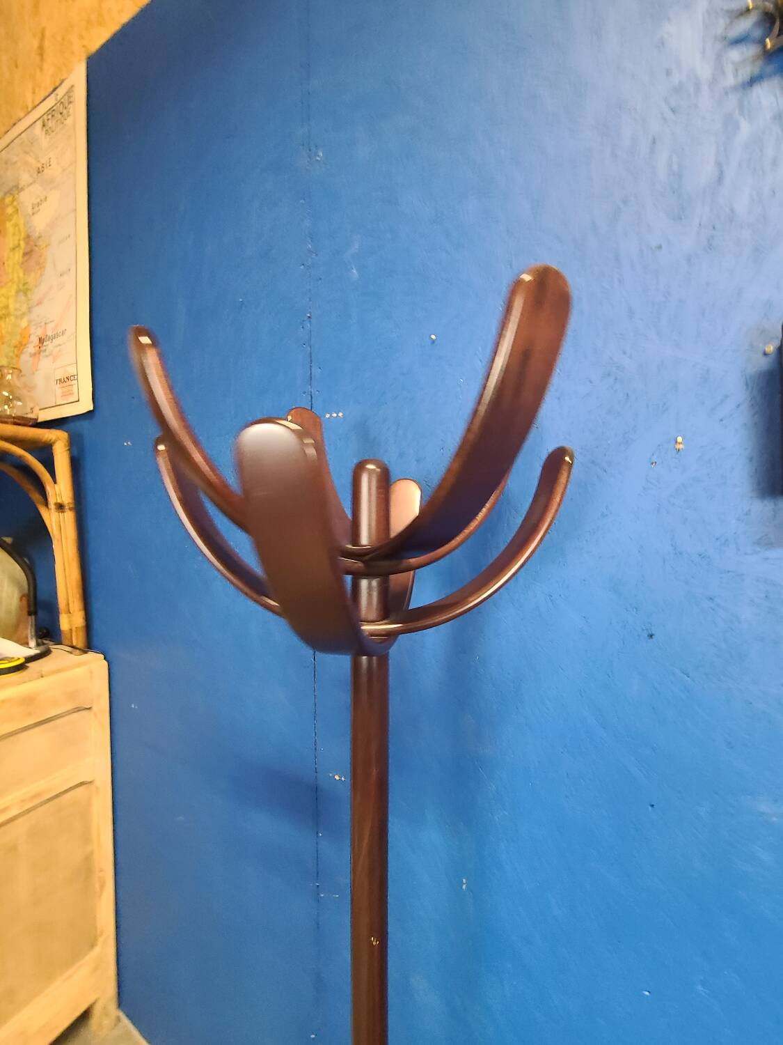 Cactus coat rack Mauro Pasquinelli 1972