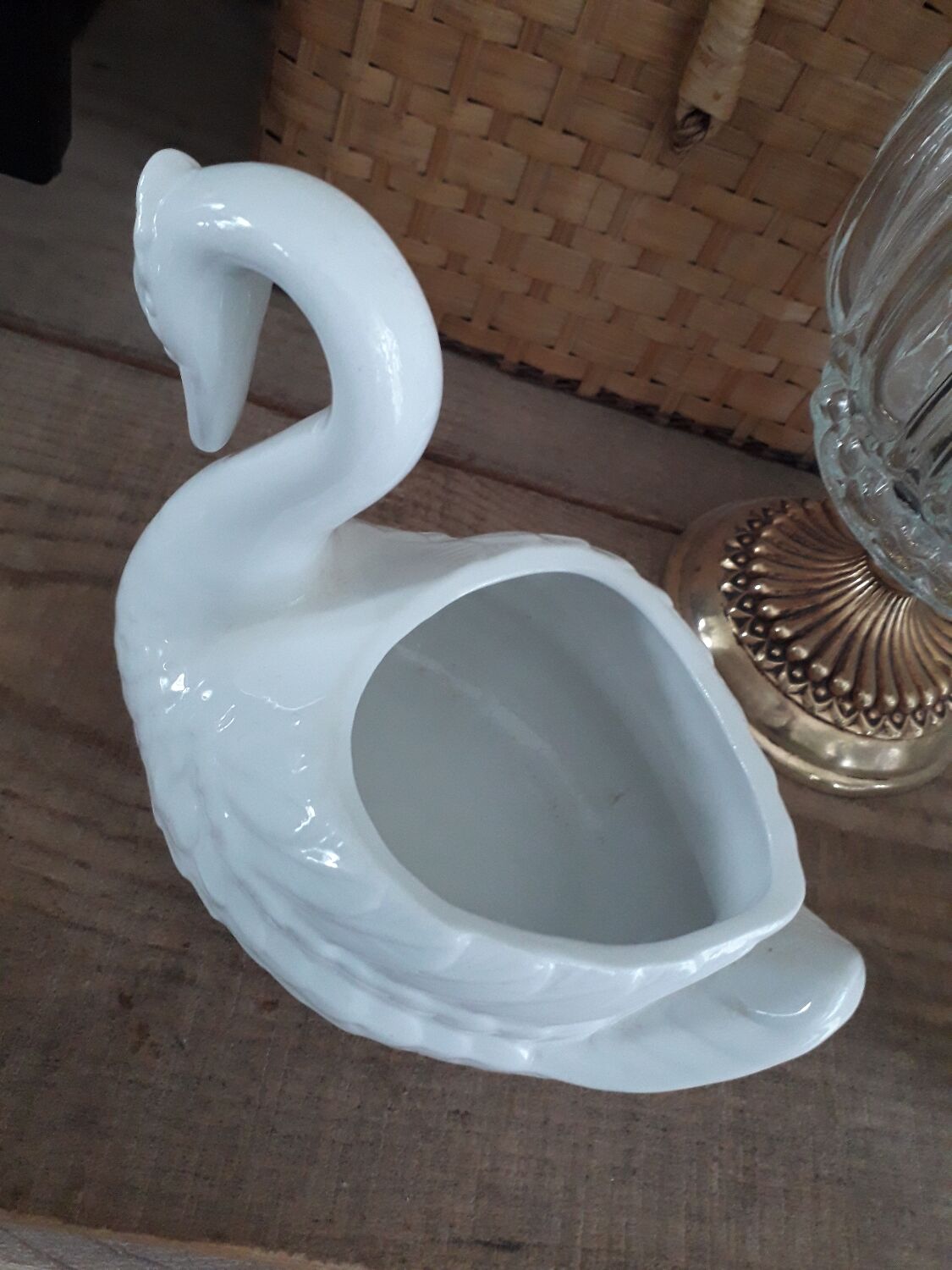 Swan plant pot