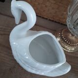 Swan plant pot
