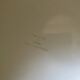 Vintage Makio Hasuike Wastepaper Basket for Gedy Italy