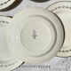 6 opaque porcelain dinner plates, Digoin model "Suzy"