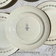6 opaque porcelain dinner plates, Digoin model "Suzy"