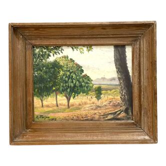 1920s french oil painting / panel. landscape. fields, trees and mountains