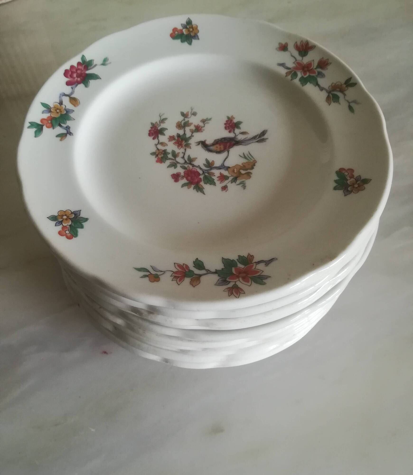 Set of 12 Pyroblanc dessert plates | Bird of Paradise