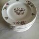 Set of 12 Pyroblanc dessert plates | Bird of Paradise