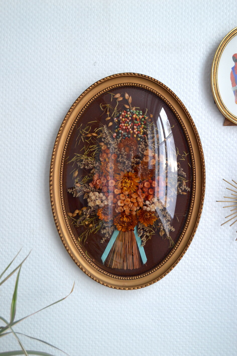 Frame of dried flowers under domed glass