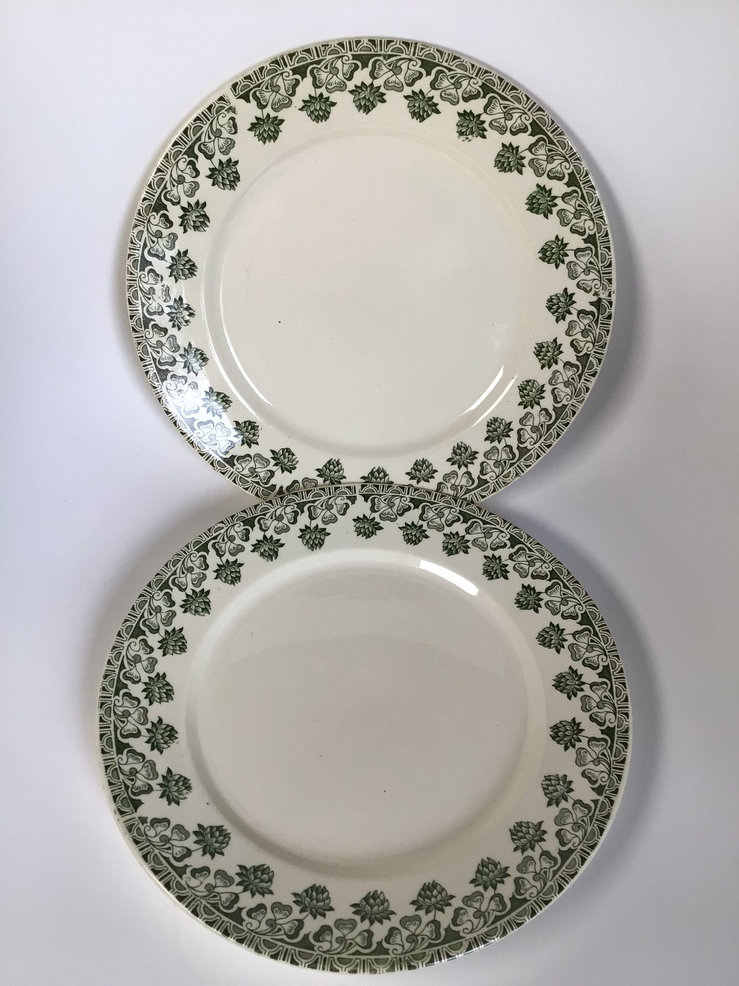 2 Flat Plates Iron Earth Badonviller khaki clover