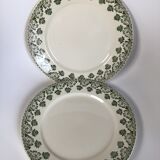 2 Flat Plates Iron Earth Badonviller khaki clover