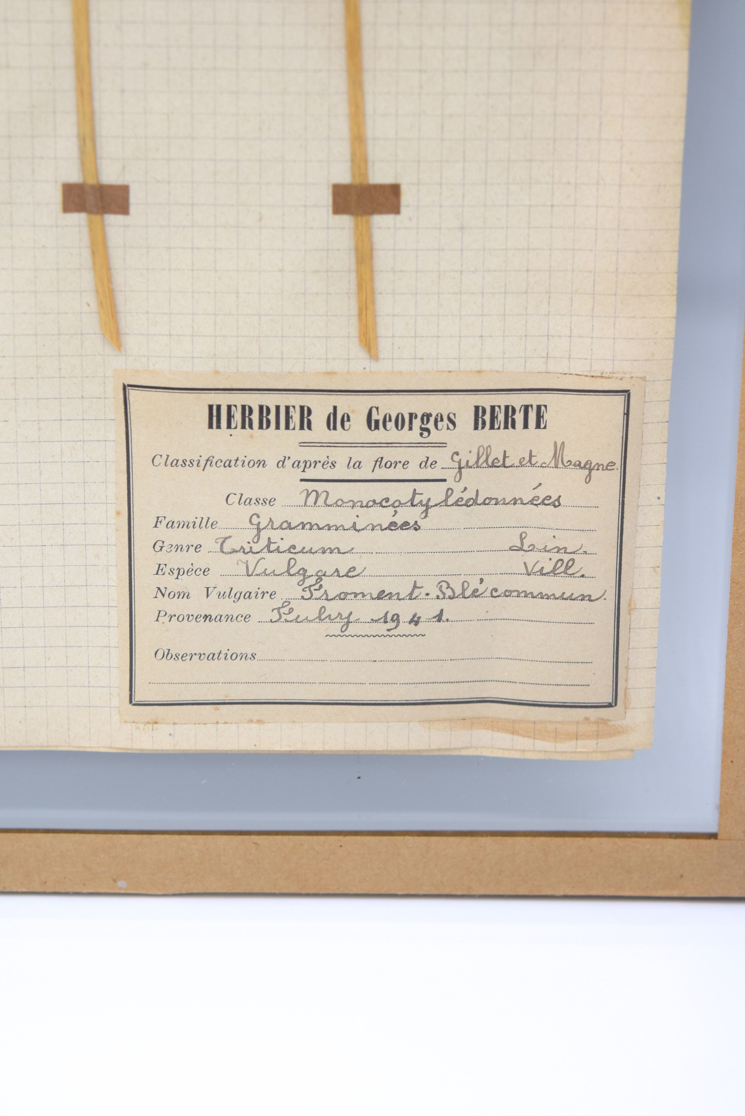 George Bert Herbarium