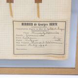 George Bert Herbarium
