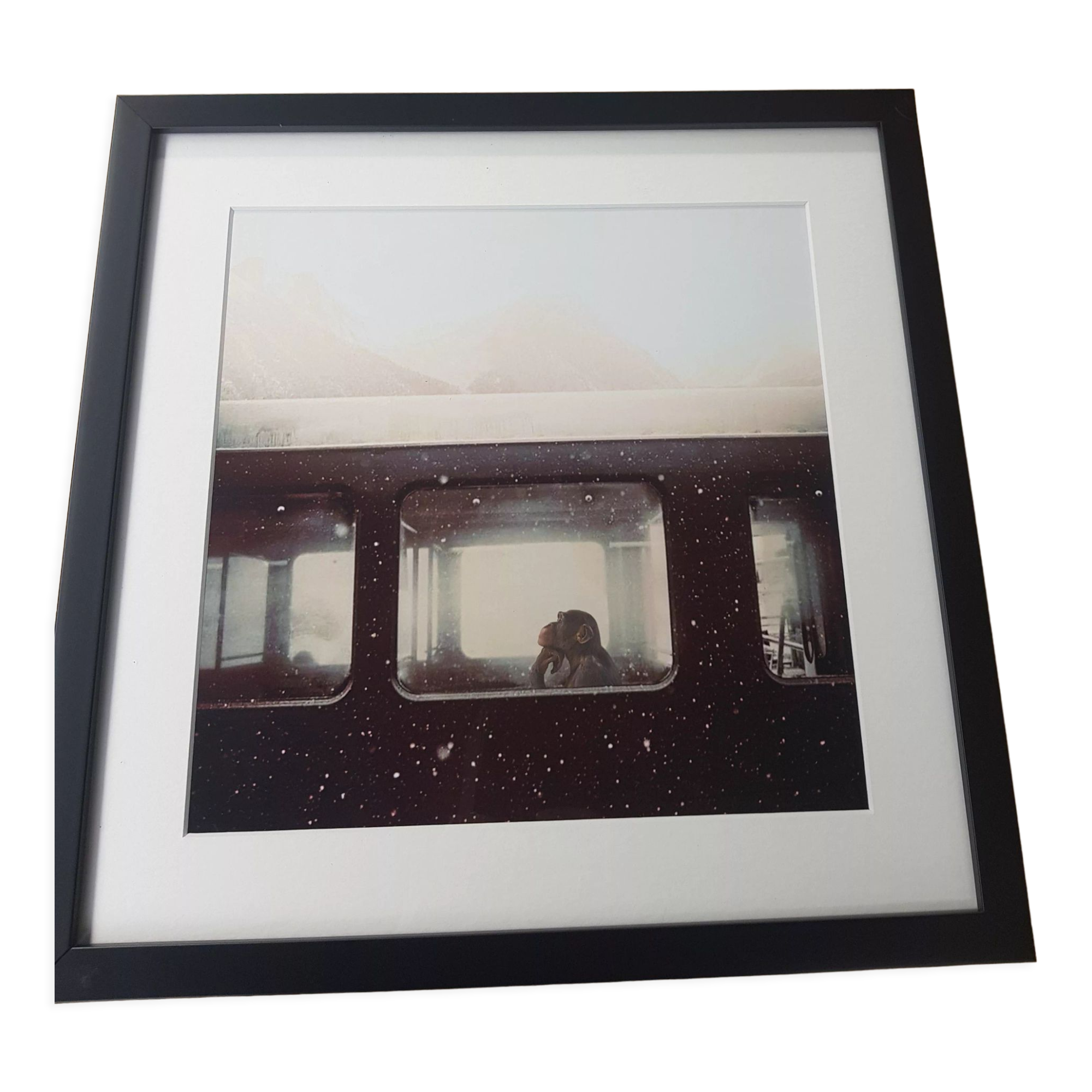 Framed screen print